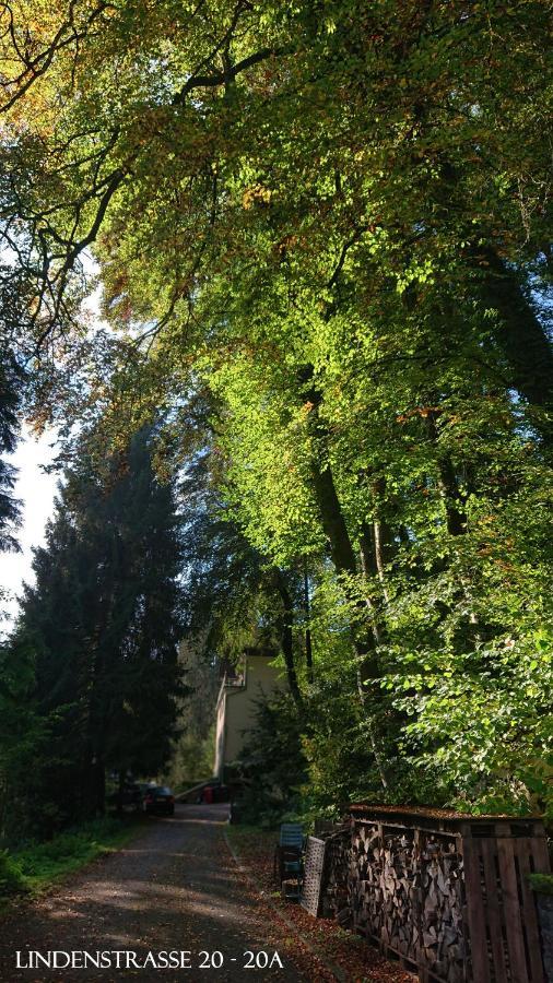 Ferienwohnung Haus Schoeneck Schönecken エクステリア 写真